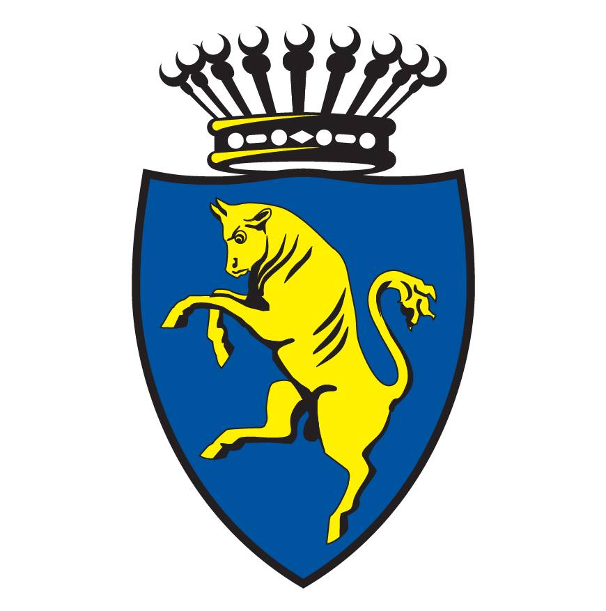 Città di Torino